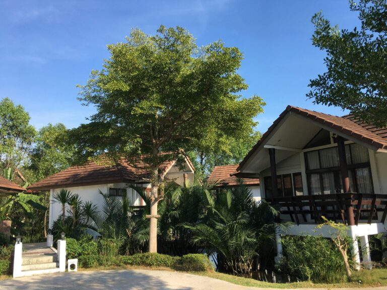 Phuket Property Management: How to Choose the Best Fit