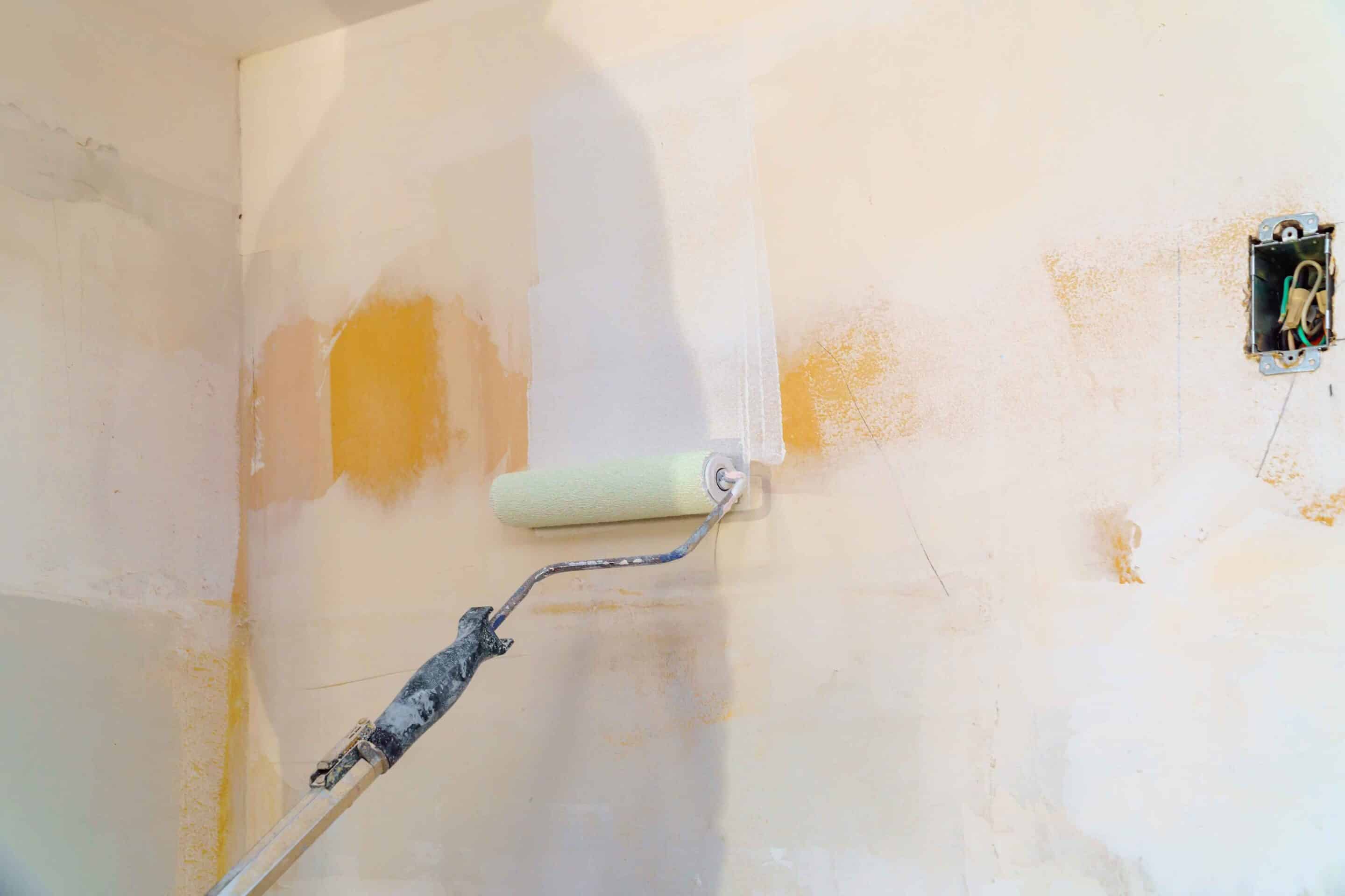 rear-view-painter-man-painting-the-walls-with-pain-2025-03-27-06-11-06-utc_11zon