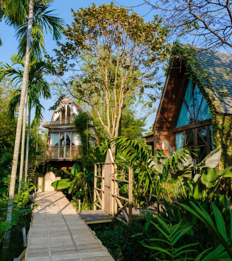 wooden-cottage-surrounded-by-palm-trees-and-a-vege-2025-01-08-12-54-26-utc